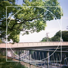 watayuri