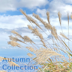 autumn_collection