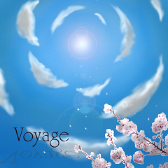Voyage